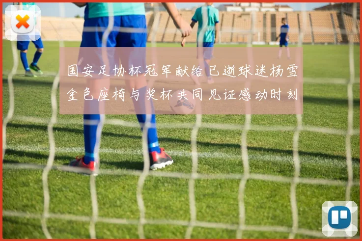 国安足协杯冠军献给已逝球迷杨雪金色座椅与奖杯共同见证感动时刻