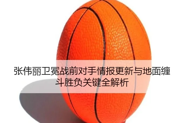 张伟丽卫冕战前对手情报更新与地面缠斗胜负关键全解析(HaoBo)